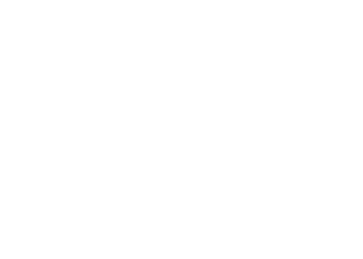 Glasgow Trade Windows